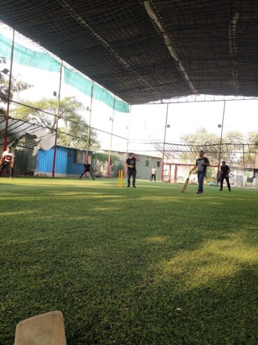 Limb n Wrist Turf