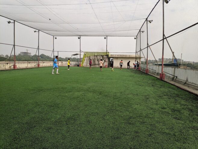 Globe Estate Turf