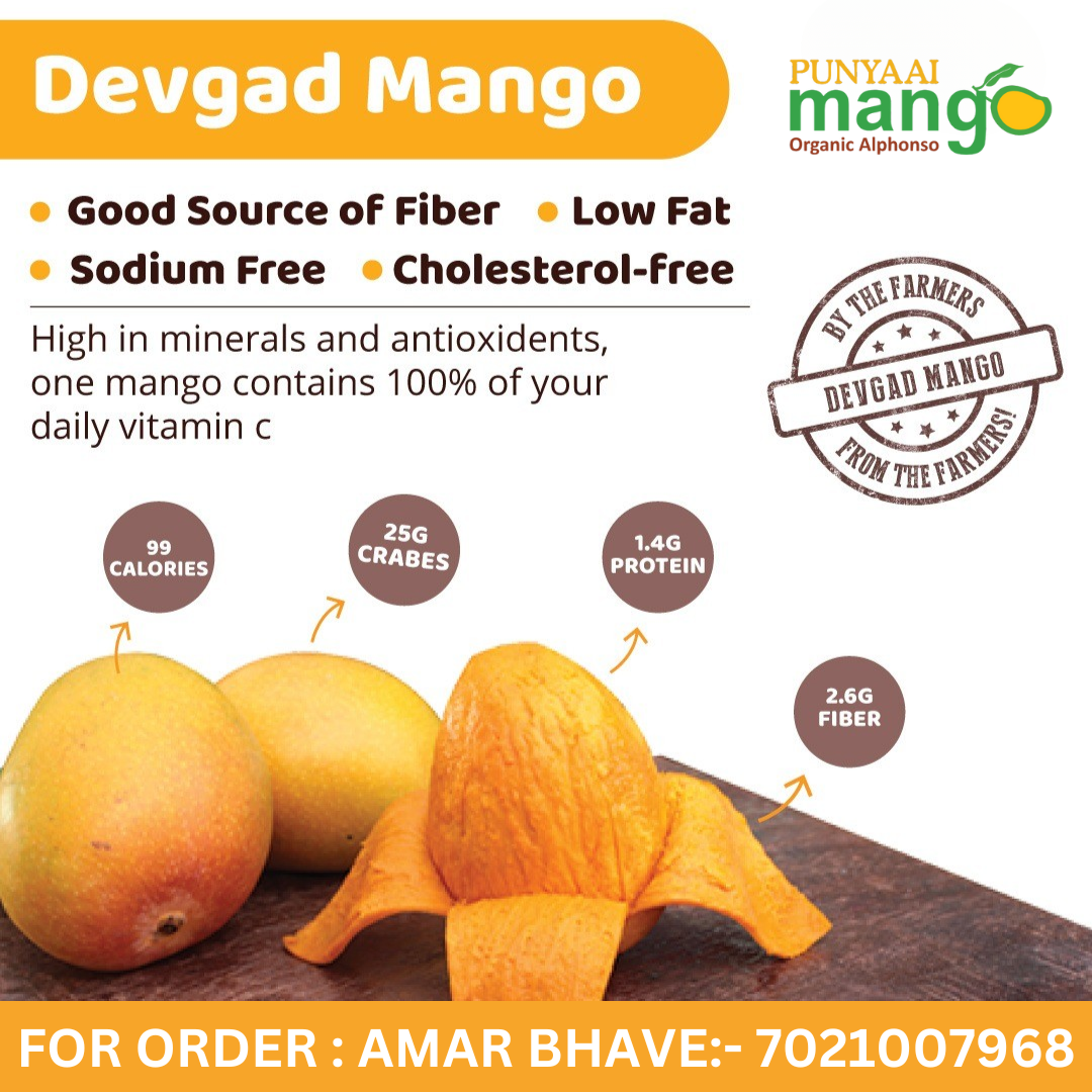 Punyaai Mangoes – Devgad Alphonso