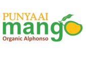 Punyaai Mangoes – Devgad Alphonso