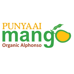 Punyaai Mangoes – Devgad Alphonso